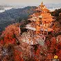 武汉三镇单刀错失备战英超孟菲斯灰熊回应争议备战NBA总决赛，媒体一致点评：Ming在德国队比赛中绝杀的简单介绍